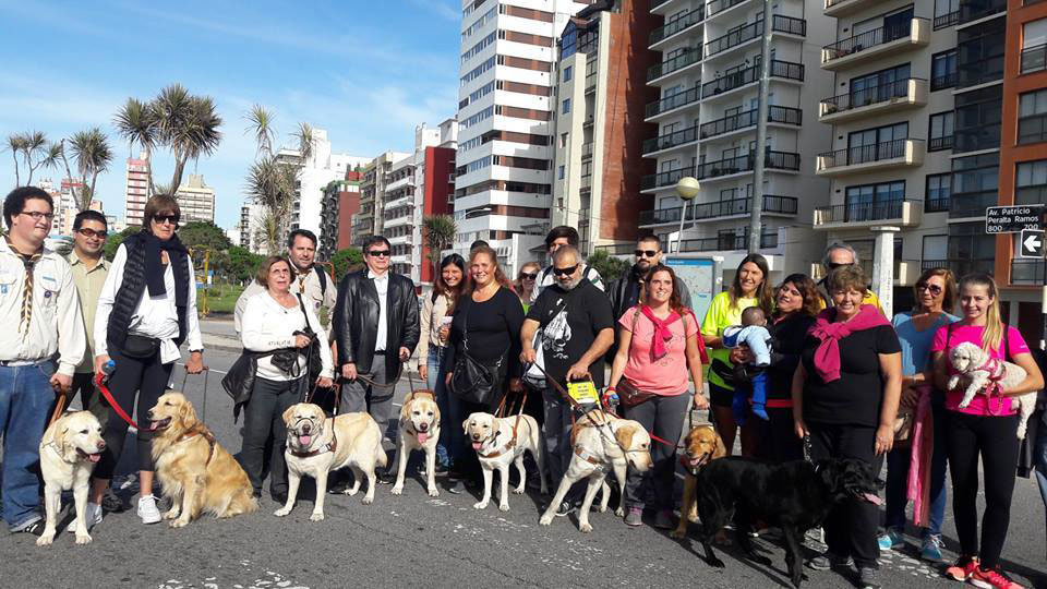 Miembros de la Subcomisión de Usuarios de FAICA con sus Perros Guía, en la Ciudad de Mar del Plata.